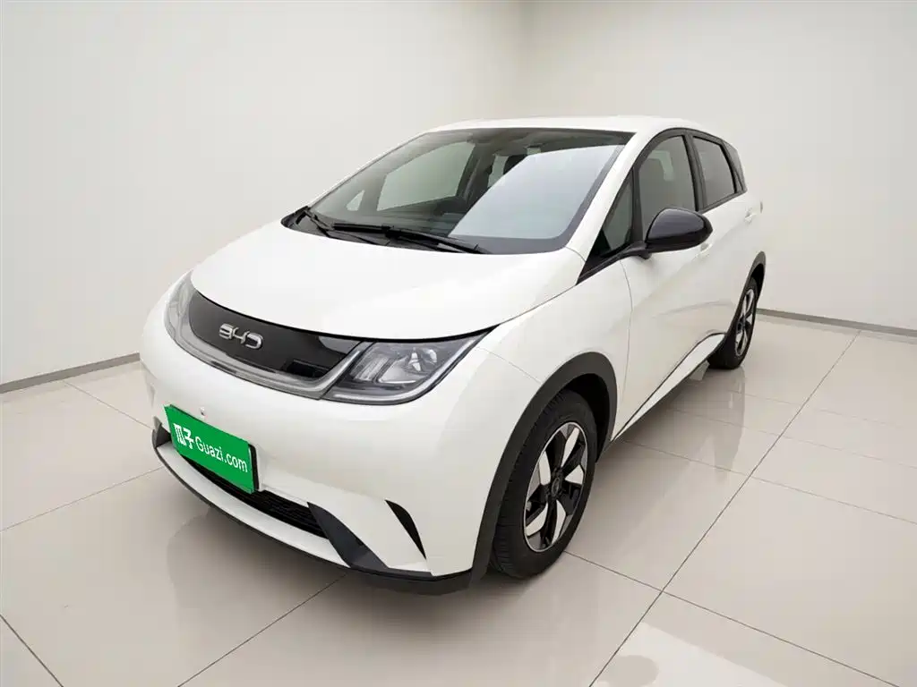 BYD Dolphin 2025 420km Freedom Edition