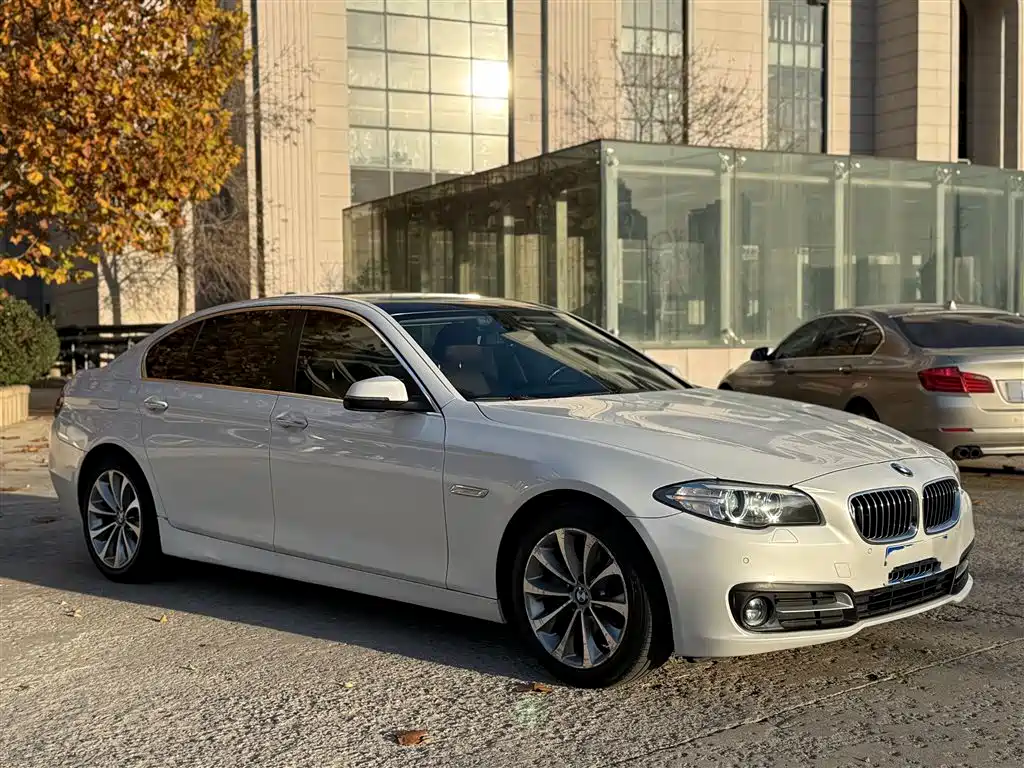 BMW 5 Series 2017 525Li Leading Edition фото 11
