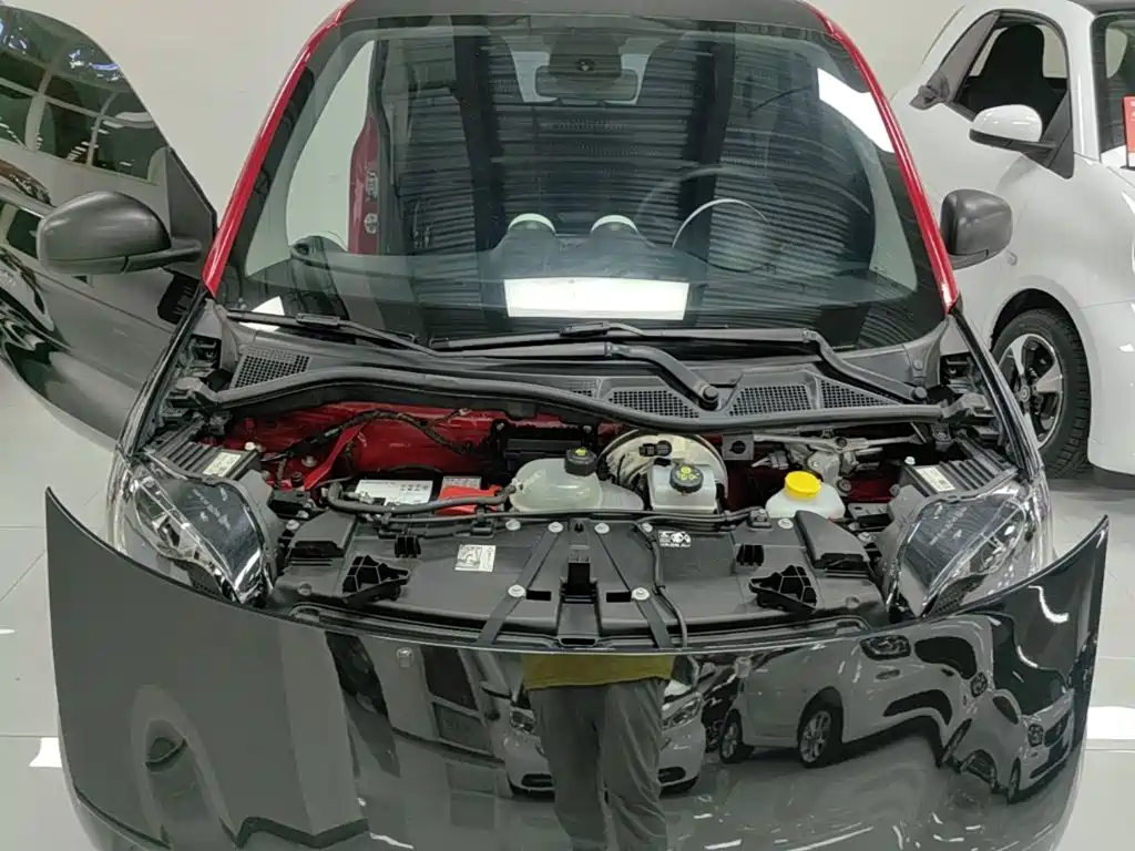 smart fortwo 2019 2018 1.0L 52kW Hardtop Agile Edition China V