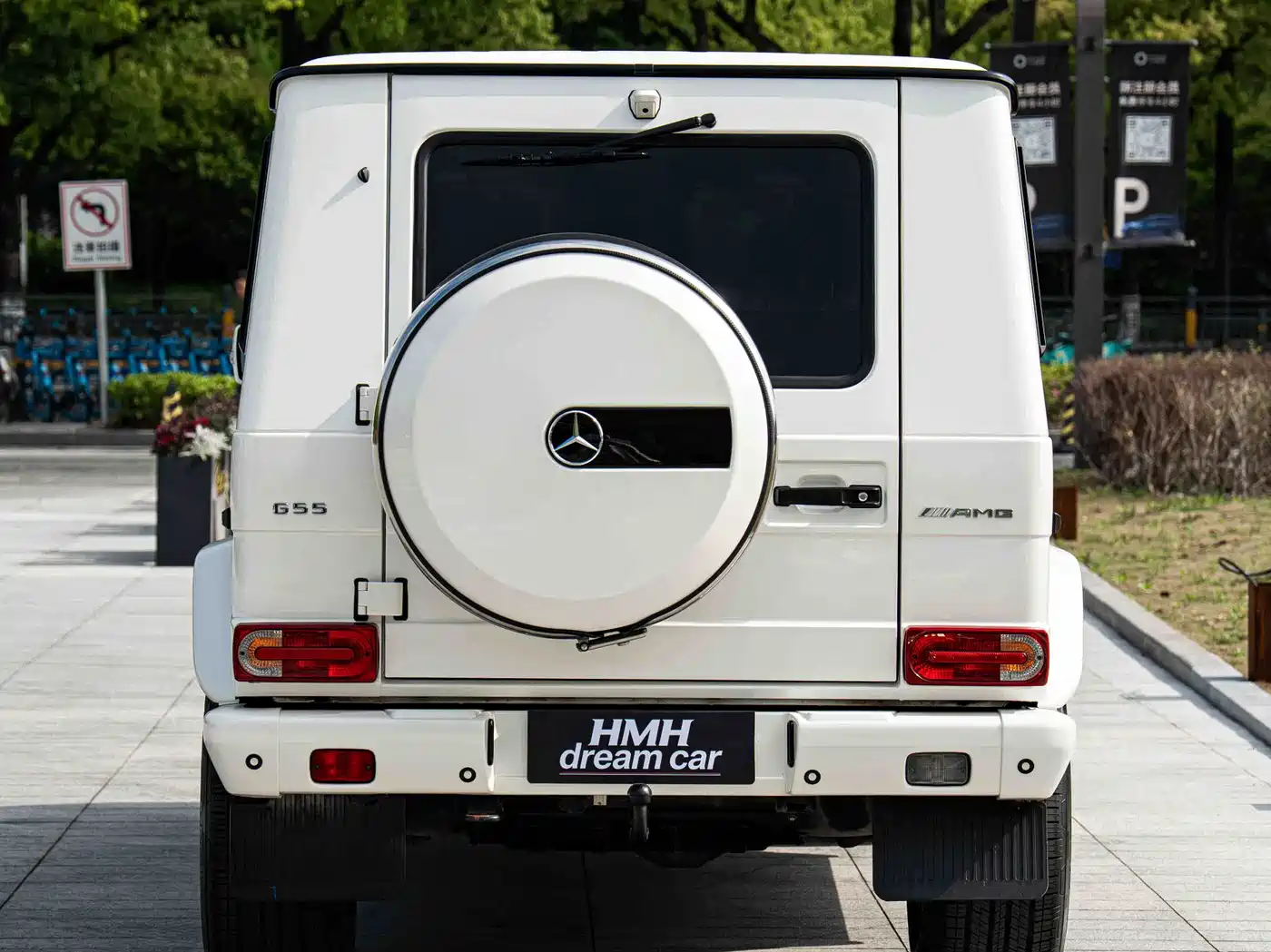Mercedes-Benz G-Class AMG 2009 AMG G 55 фото 14
