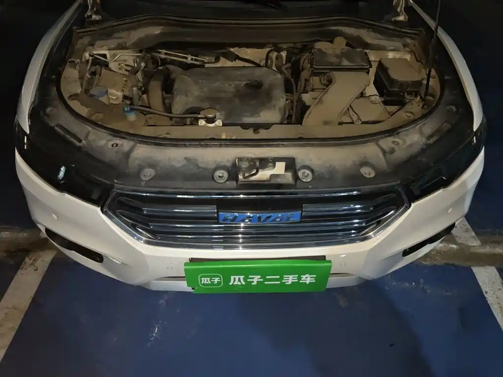 Фото 11 - Haval H2s
