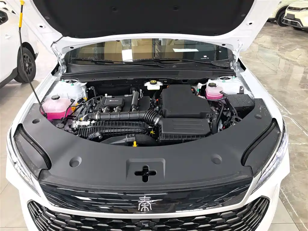 BYD Qin PLUS 2026 DM-i Smart Edition 128KM Progressive фото 20