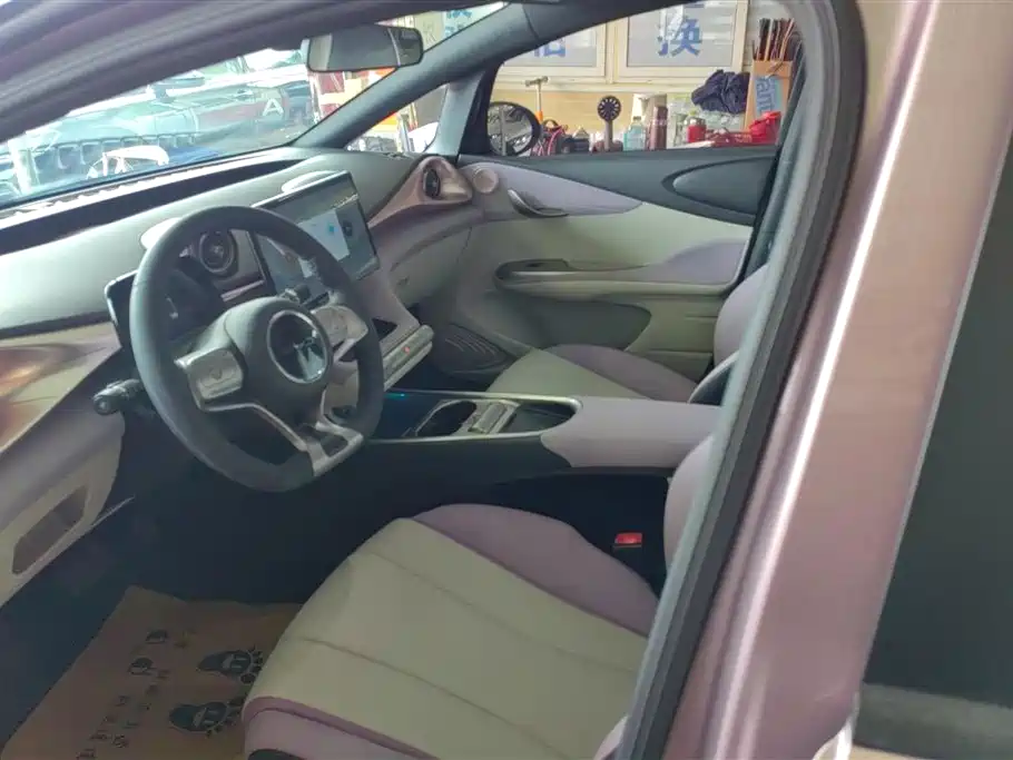 BYD Dolphin 2021 Model 405km Fashion Edition фото 9