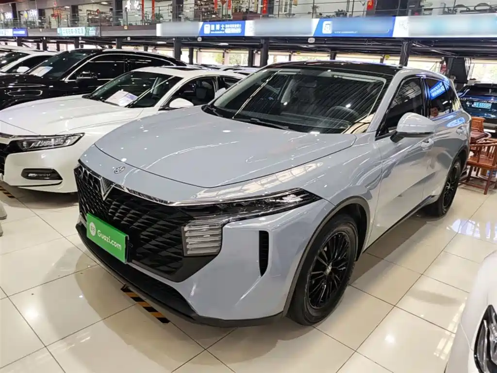 Venucia Big V 2021 260T Idol Edition