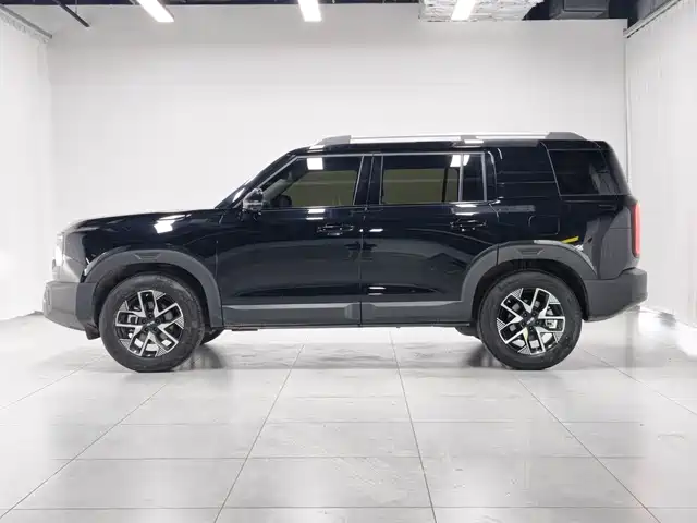 BAIC ORV Beijing Off-Road BJ30 2025 2024 1.5T Light Off-Road Pro Edition