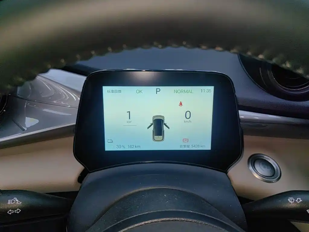 BYD Dolphin 2026 2025 420km Freedom Edition