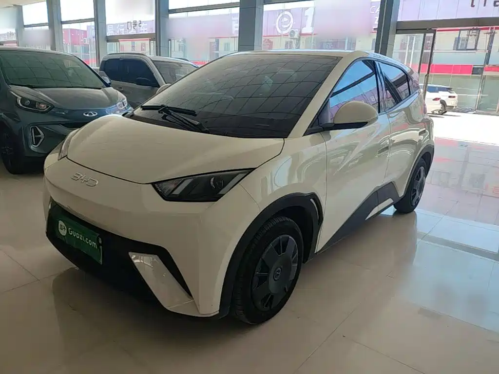 BYD Seagull 2024