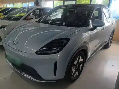 Wuling Bingo S