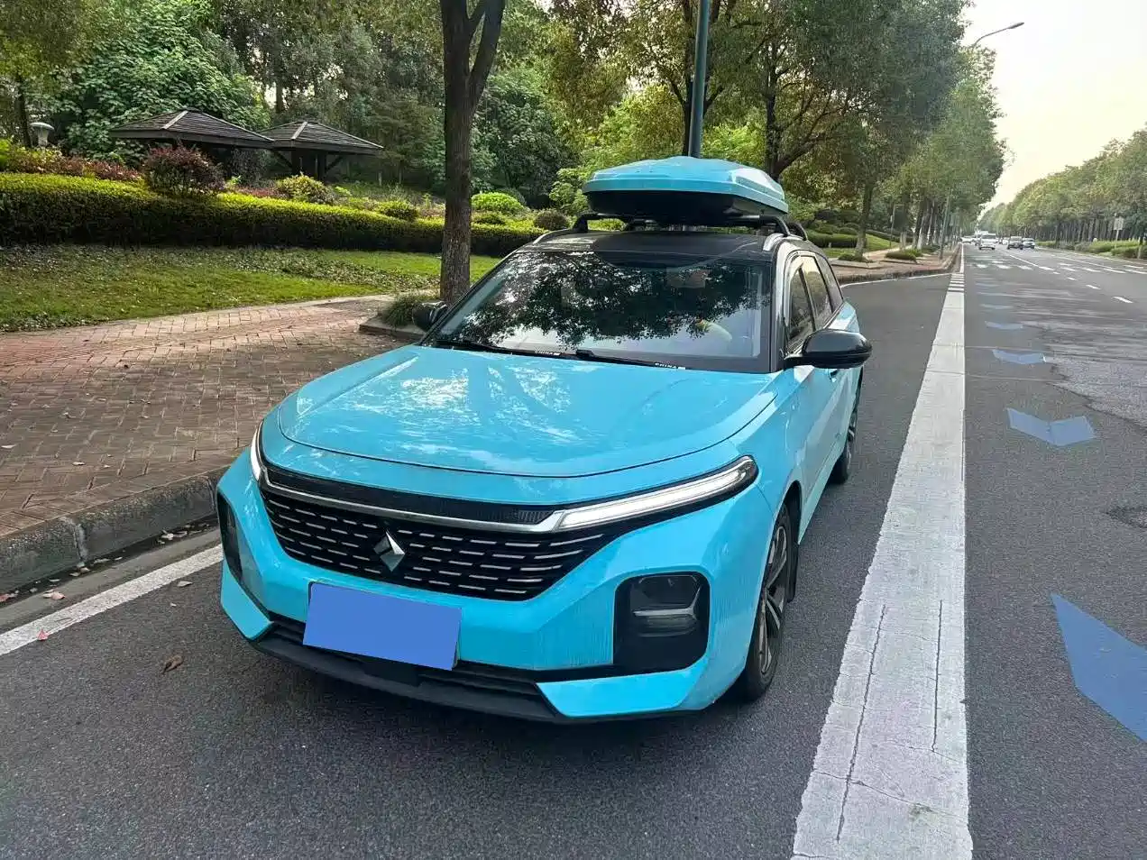 Baojun Valli 2021 2021 1.5T Nagqu Starry Sky CVT Flagship Model