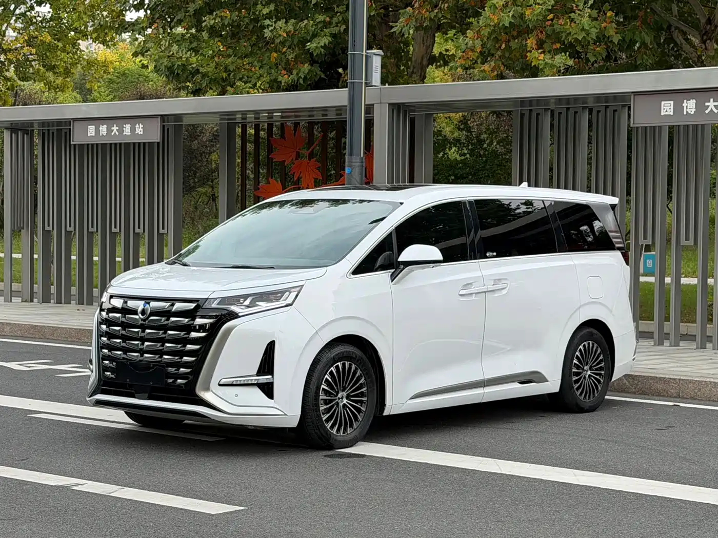 Denza D9 2023 2022 DM-i 970 All-Wheel Drive Honor Edition