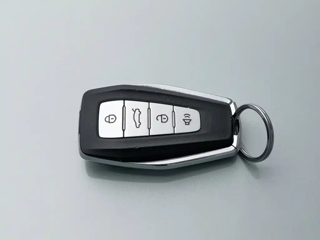 Geely Geometry E Firefly 2024 2022 401KM Delicate Tiger 4-seater
