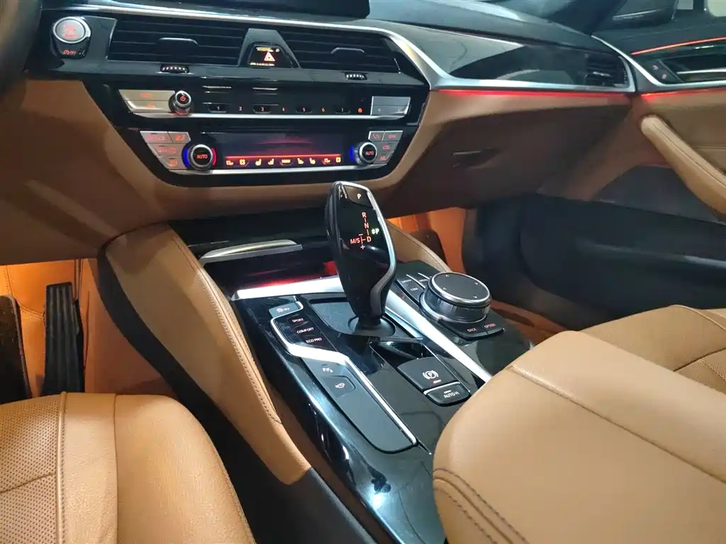 BMW 5 Series 2020 530Li Exclusive M Sport Package фото 14