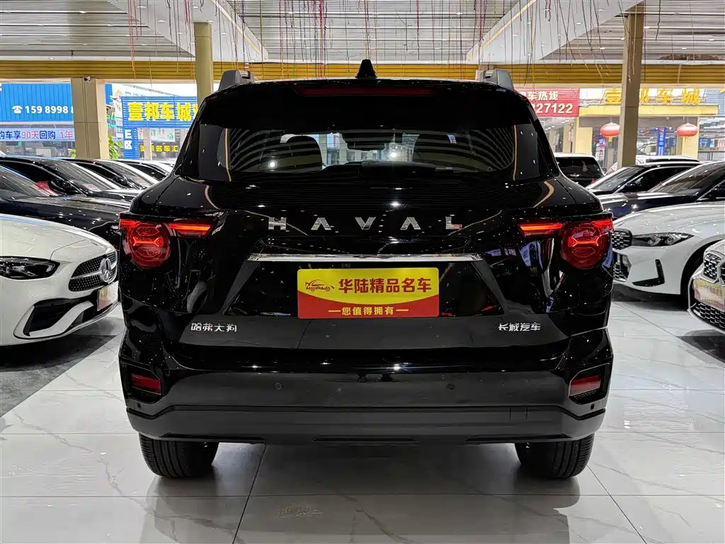 Haval Da Gou 2nd Gen 2023 2.0T 2WD Trendy Off-road Edition Plus фото 5