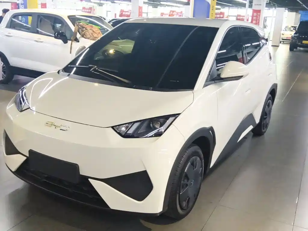 BYD Seagull 2025 Smart Drive Edition 305km Vitality Version