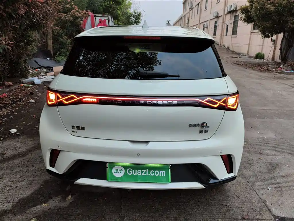 BYD Dolphin 2024 Glory Edition 420km Fashion Edition фото 6