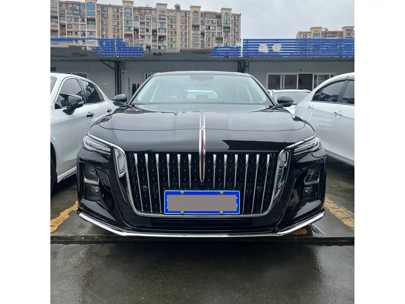 Hongqi H5 2023 1.5T DCT Smart Connect Flag Rhythm фото 2