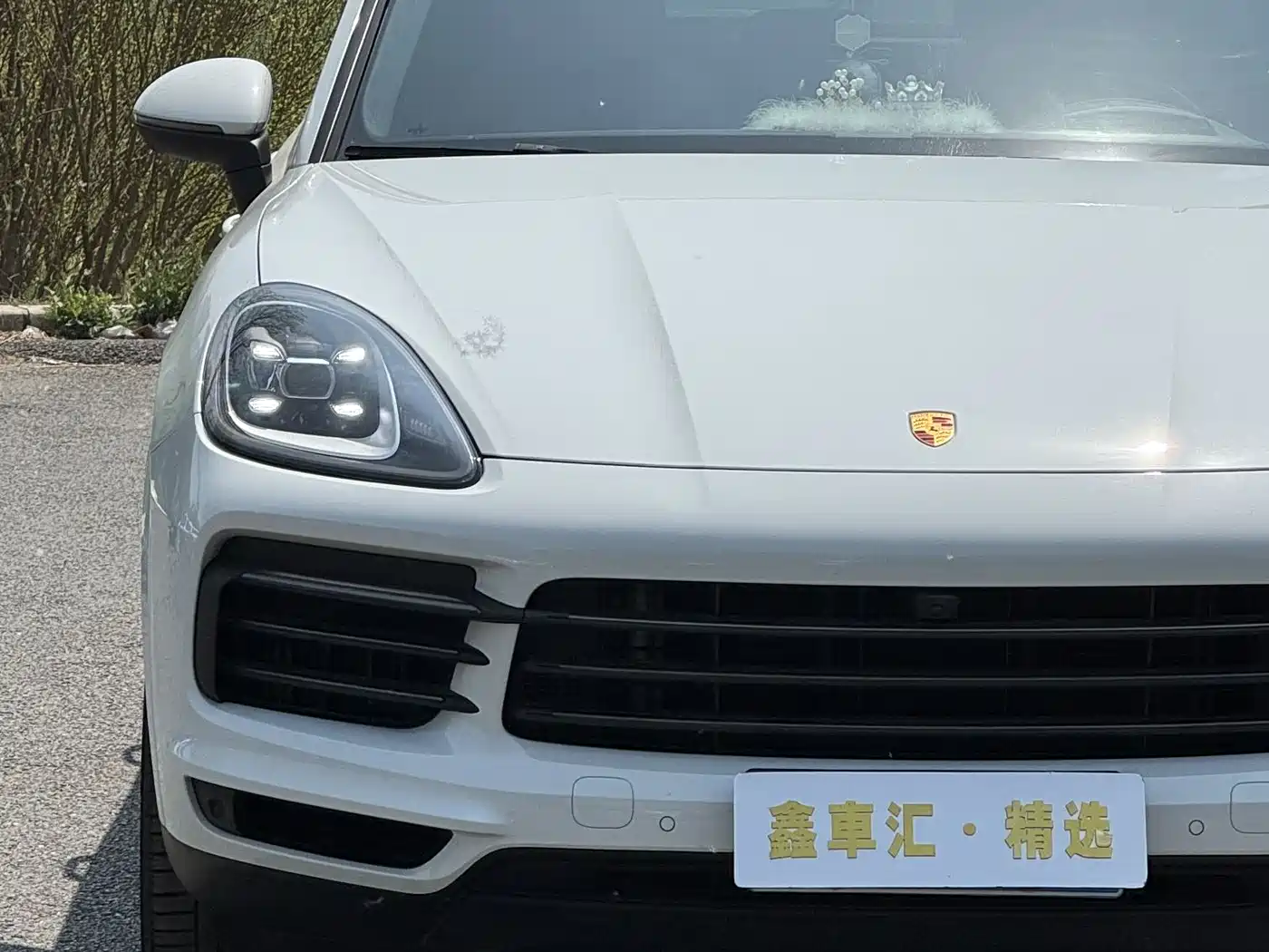 Porsche Cayenne 2023 Cayenne 3.0T Platinum Edition фото 5