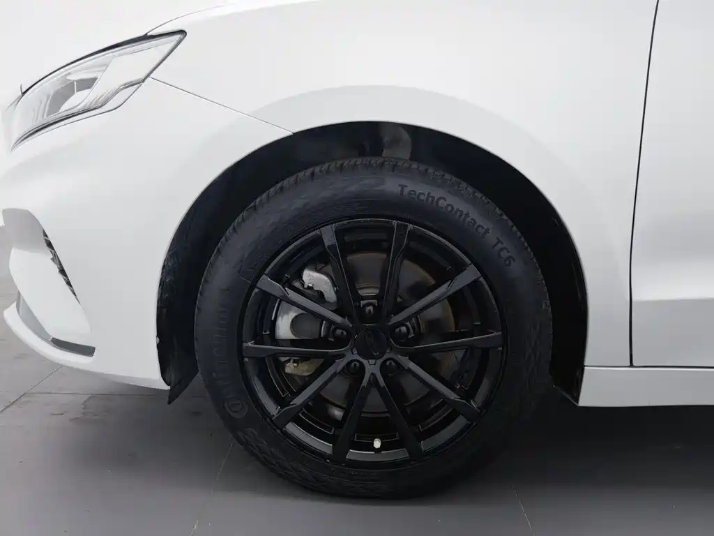 Geely Borui 2021 2021 1.8T Pilot Edition+