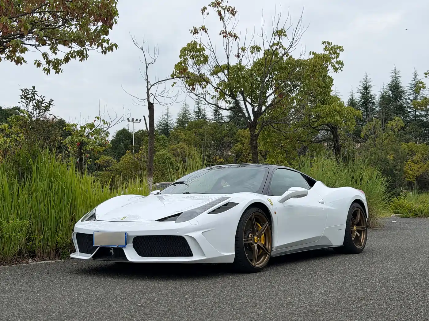 Ferrari 458 2011 2011 4.5L Italia