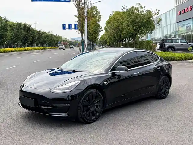 Tesla Model 3 (Import) 2019 Long Range All-Wheel Drive Edition