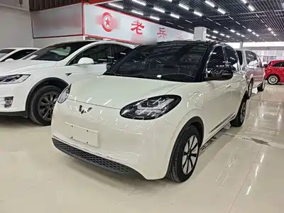Wuling Bingo