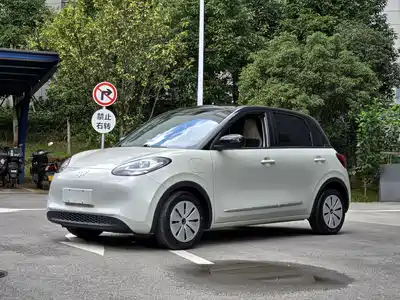 Wuling Bingo