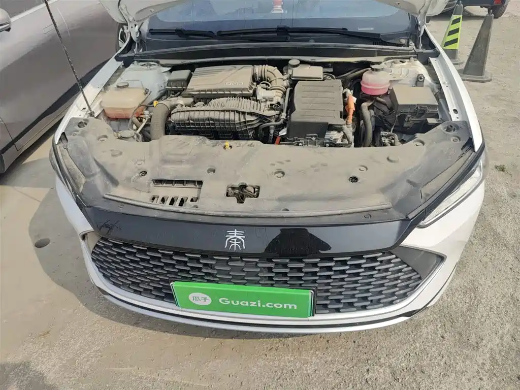 BYD Qin PLUS 2024 Glory Edition DM-i 55KM Leading фото 10