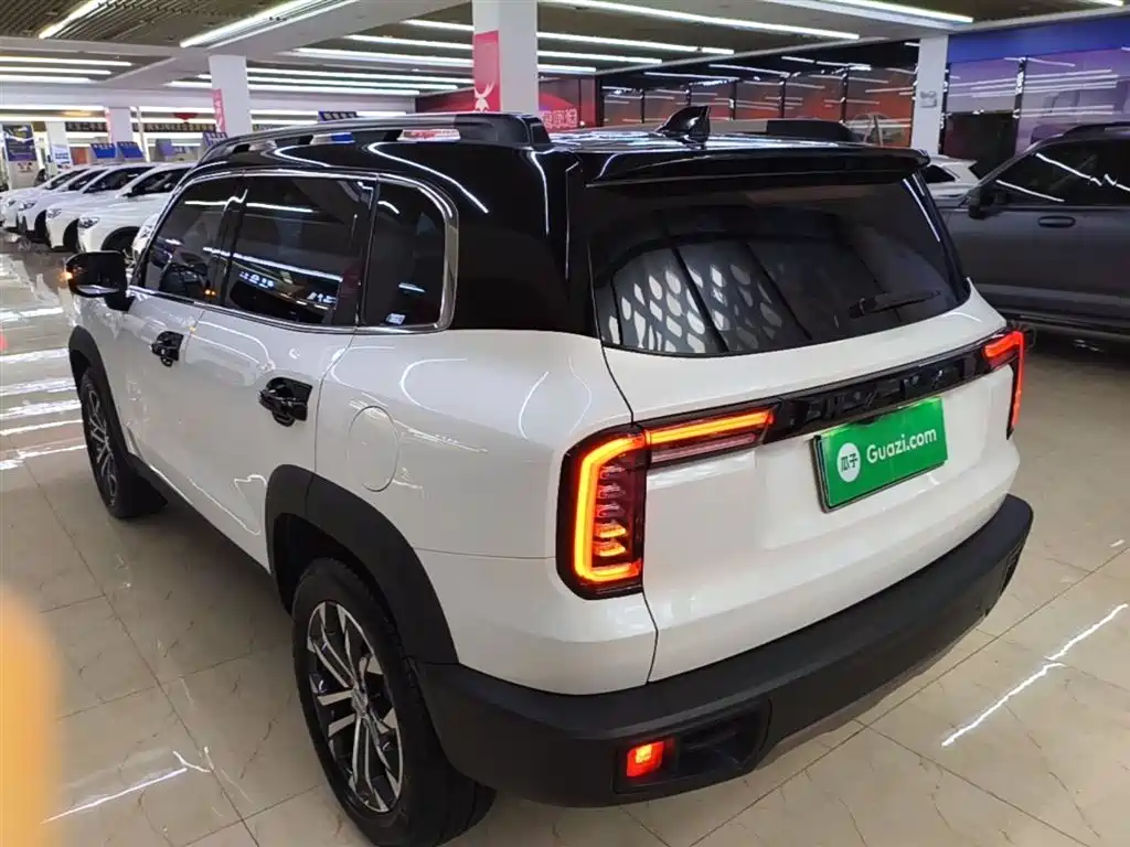 Haval Big Dog 2021 1.5T DCT 2WD Border Collie - Wangcai Edition фото 5