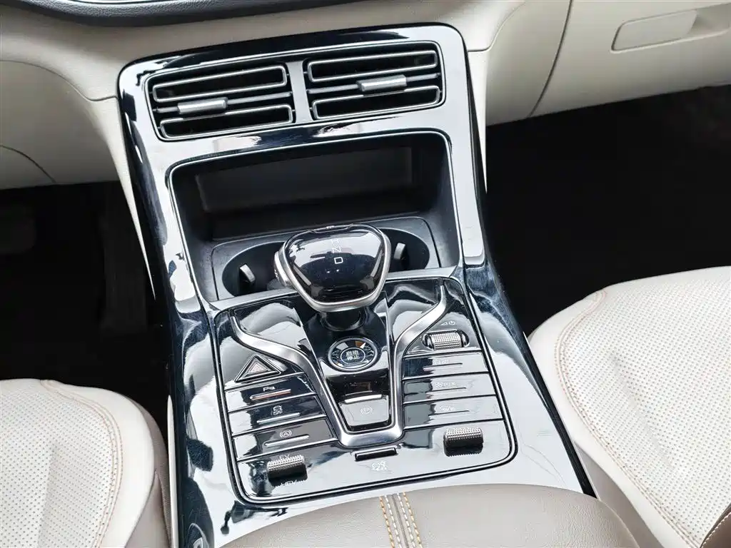 BYD Qin PLUS 2024 Glory Edition DM-i 55KM Leading фото 6