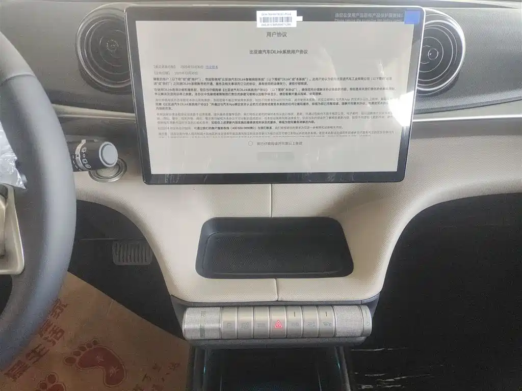 BYD Dolphin 2025 420km Freedom Edition фото 13