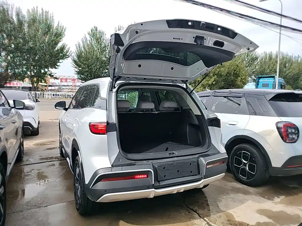 BYD Yuan UP 2026 2025 Model 301KM Navigator