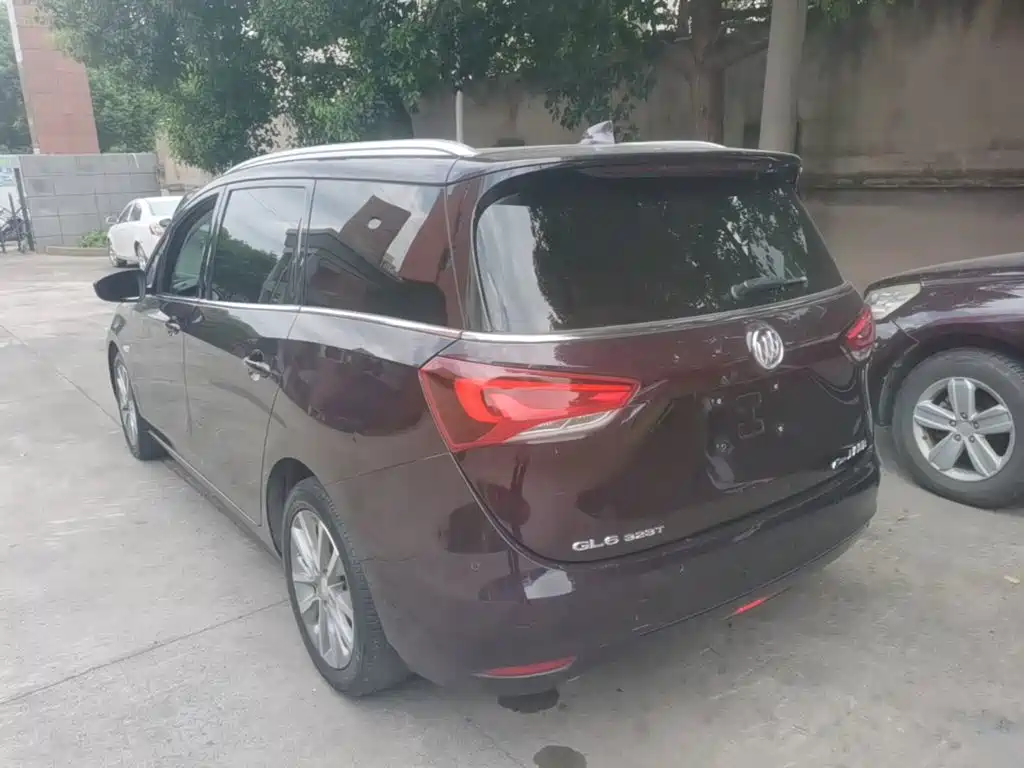 Фото 5 - Buick GL6