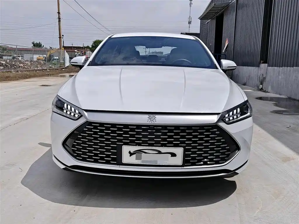 BYD Qin PLUS 2024 Glory Edition DM-i 55KM Leading фото 2