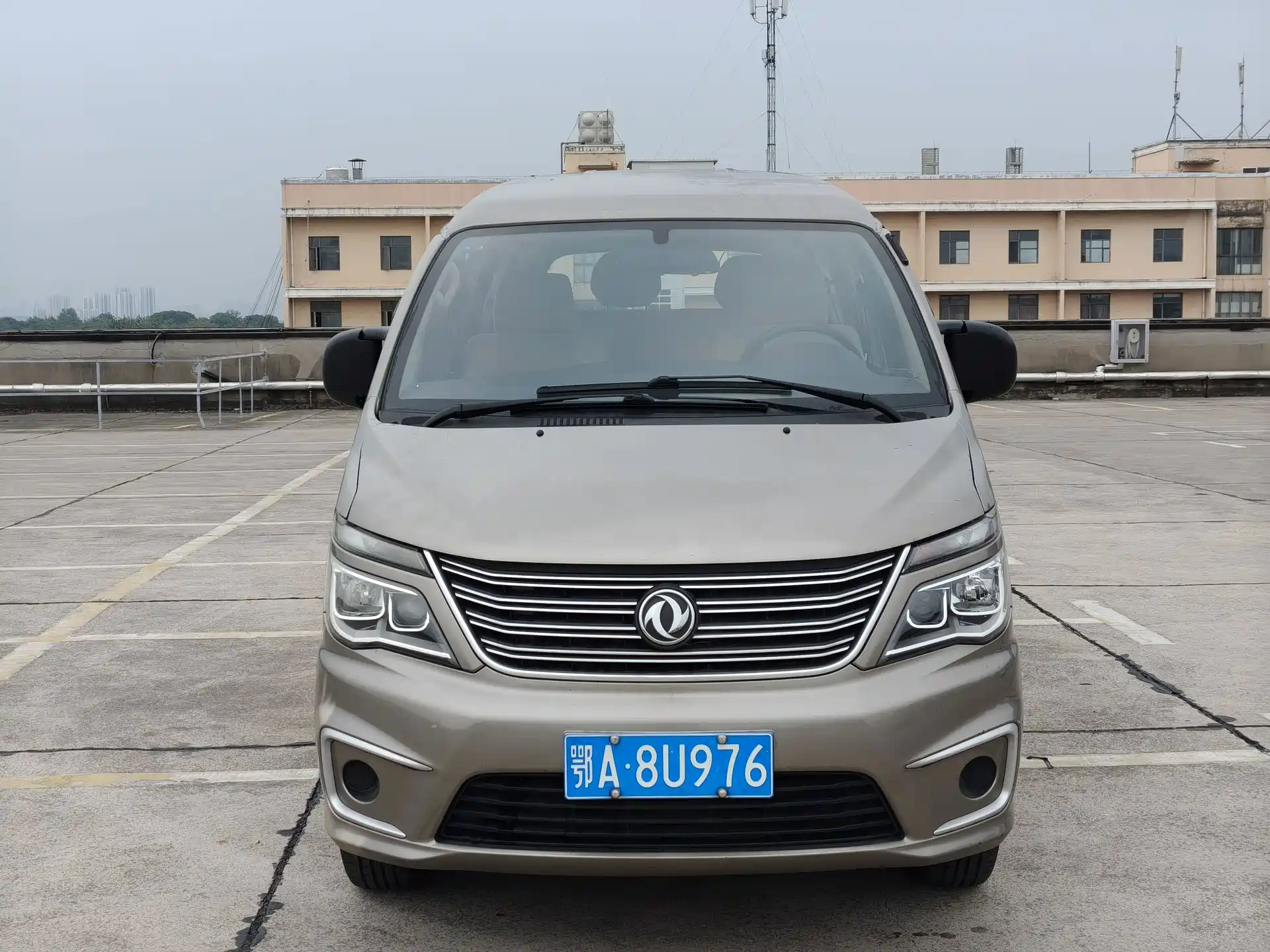 صورة 1 - Dongfeng Fengxing Lingzhi