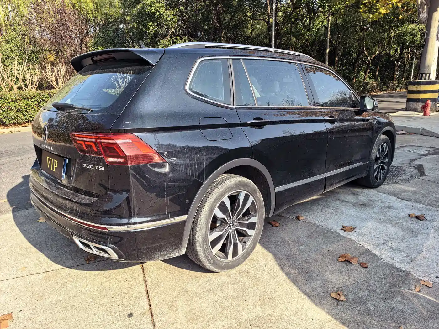 Volkswagen Tiguan L 2024 Outstanding 330TSI Auto 2WD Dragon Soaring Edition фото 8