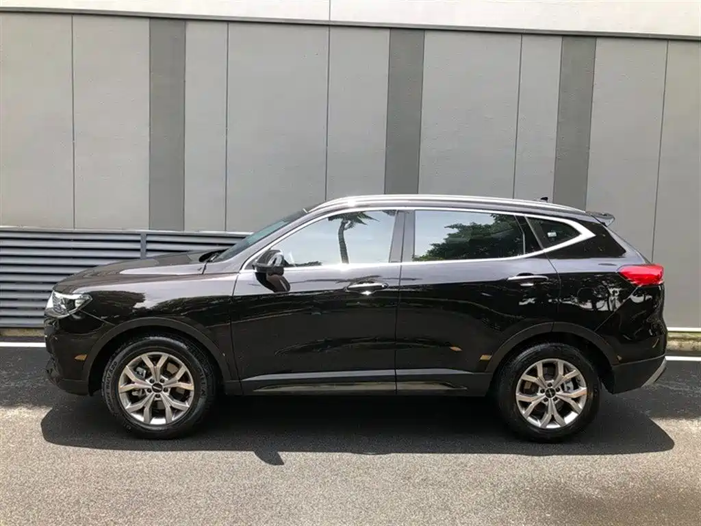 Haval H6 2021 Model National Trend Edition 1.5T Auto Champion фото 12