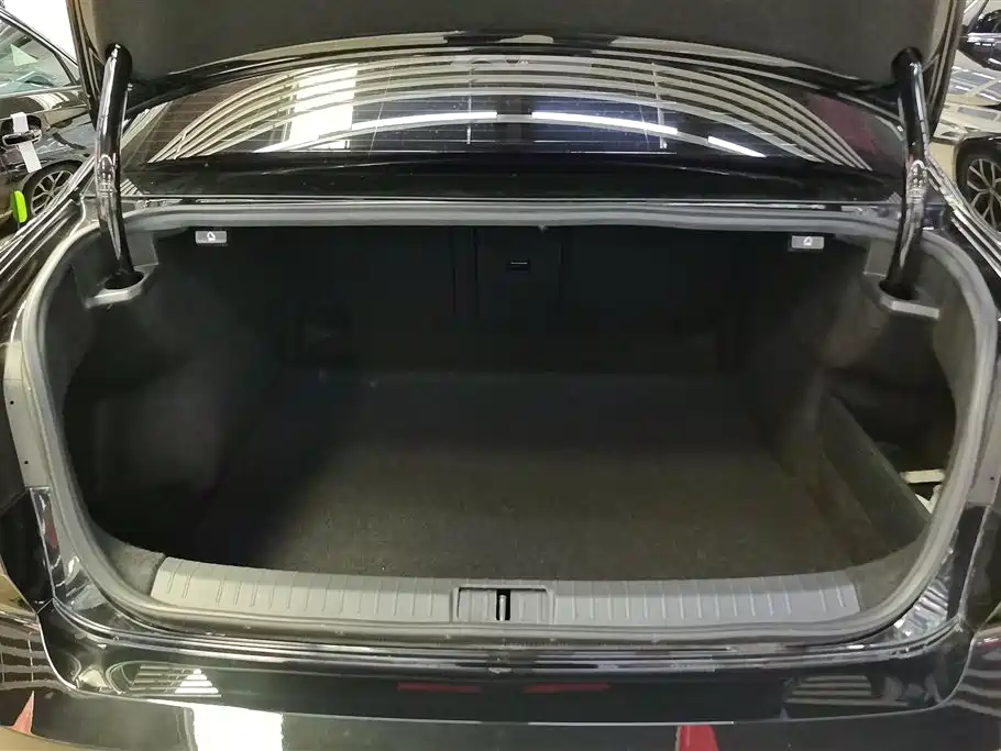 Volkswagen Magotan 2020 330TSI DSG Leading фото 4