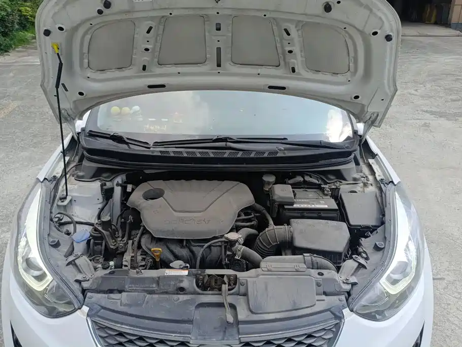 Hyundai Langdong 2017 2016 1.6L Automatic Premium Edition