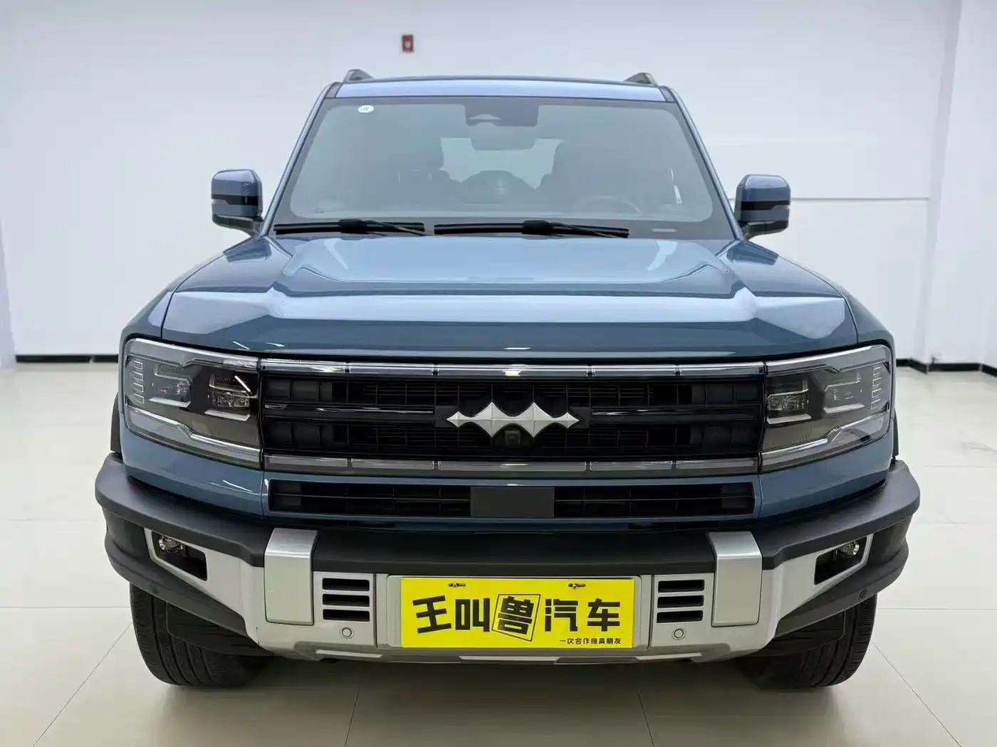 FANG CHENG BAO LEOPARD 5