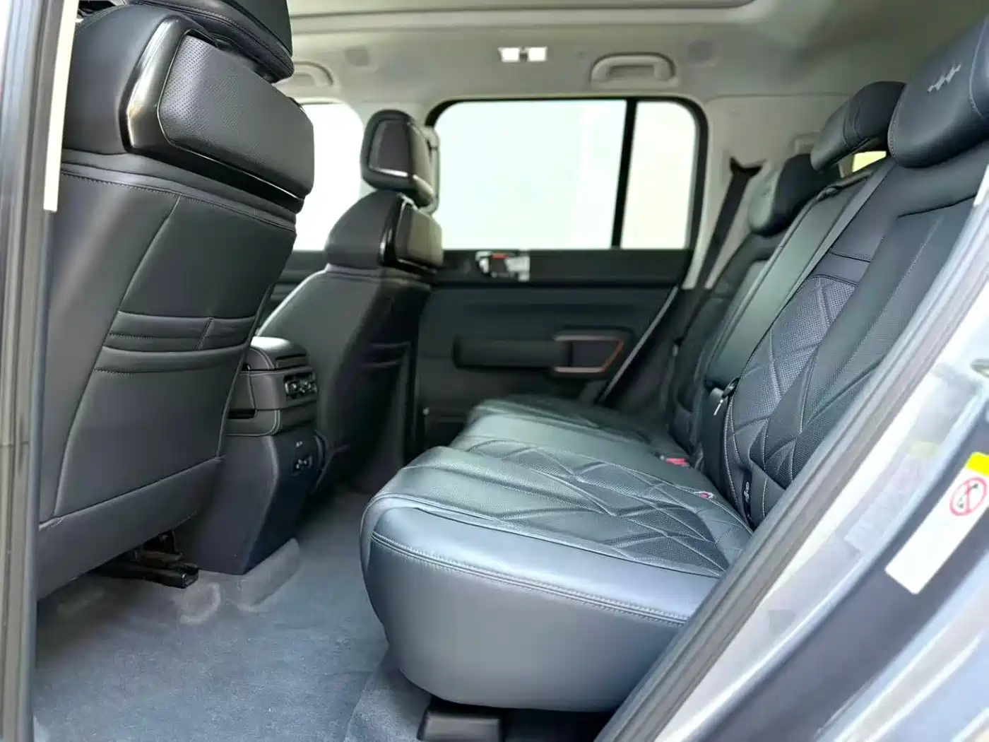 FANG CHENG BAO LEOPARD 5