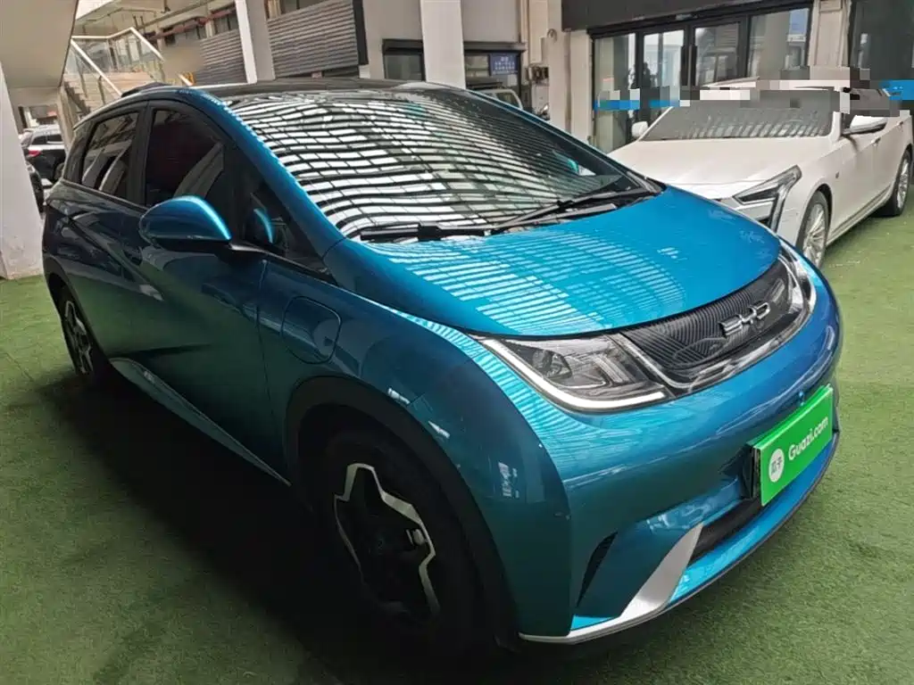BYD Dolphin 2021 Model 405km Fashion Edition фото 4