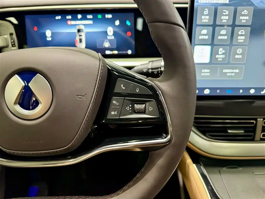Denza D9 2024 DM-i 980 AWD Prestige фото 21