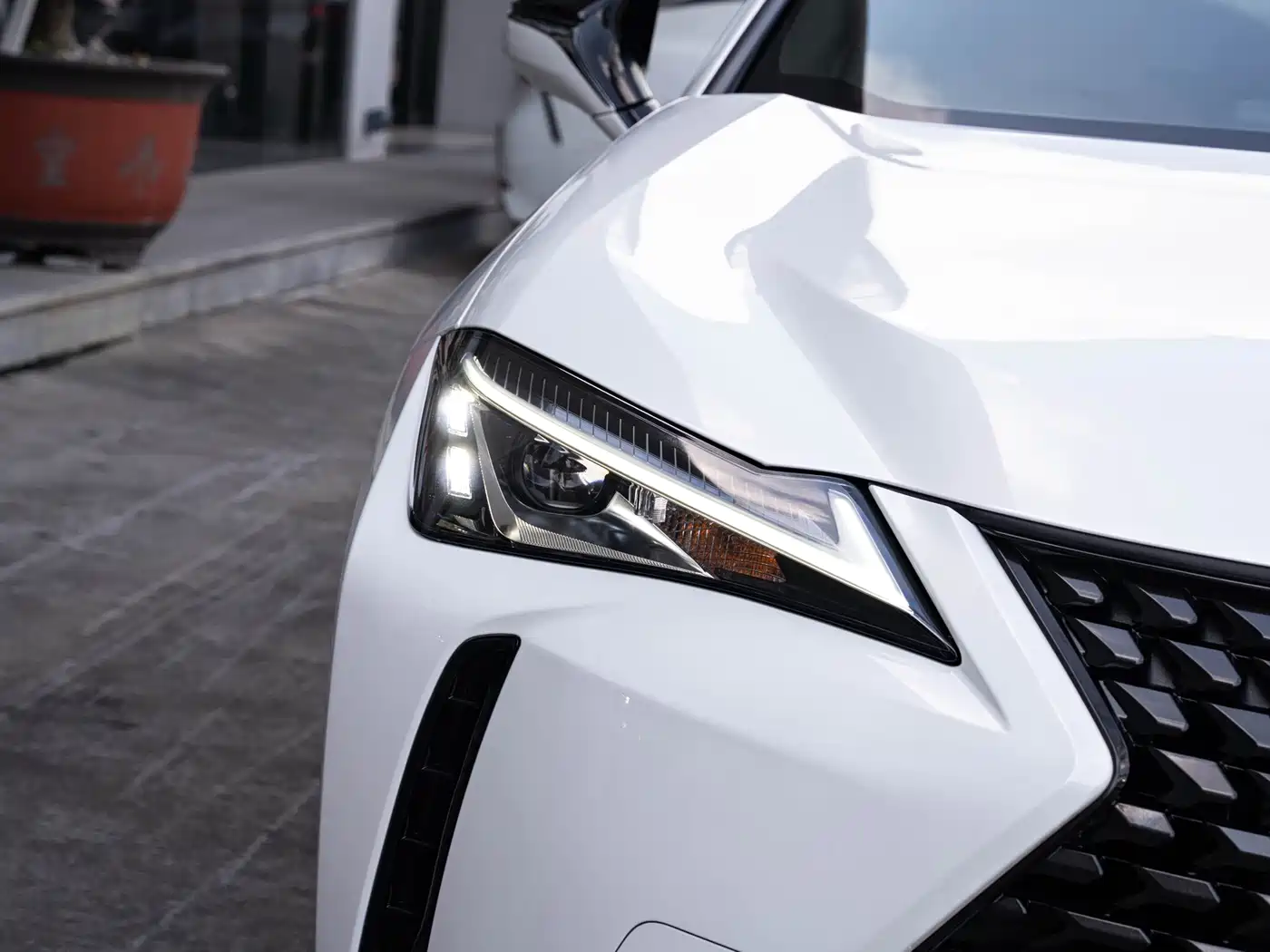 Lexus UX 2022 2020 260h Explore Fun Edition