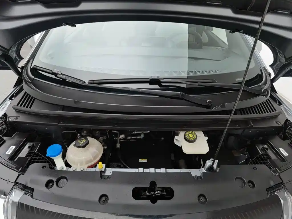 BYD Dolphin, миниатюра 6