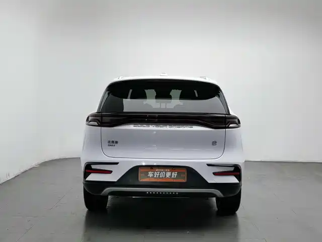 BYD Tang New Energy 2021 DM-i 112KM Premium — фото 4