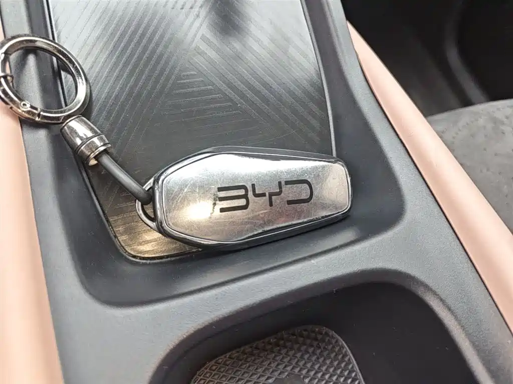 BYD Seagull 2025 Smart Drive Edition 305km Vitality Version фото 9