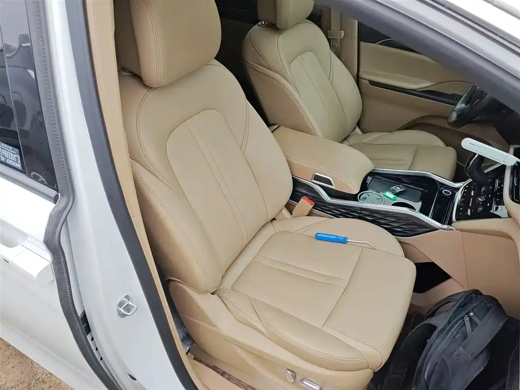 Buick GL8 2021 ES Landlord 653T Premium фото 25