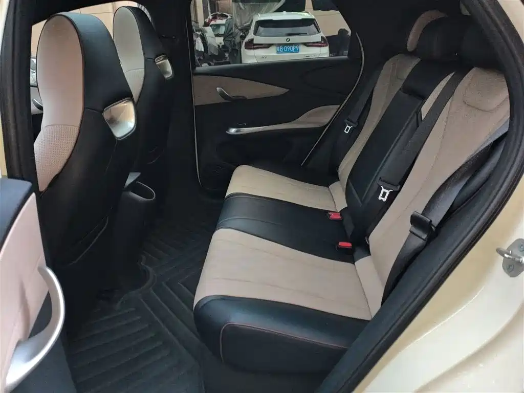 BYD Dolphin 2024 Glory Edition 420km Fashion Edition фото 17