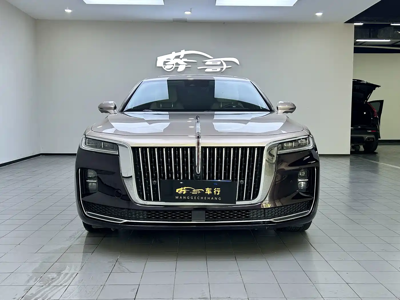 Hongqi H9 2021 2020 3.0T Smart Connect Flagship 4-Seater
