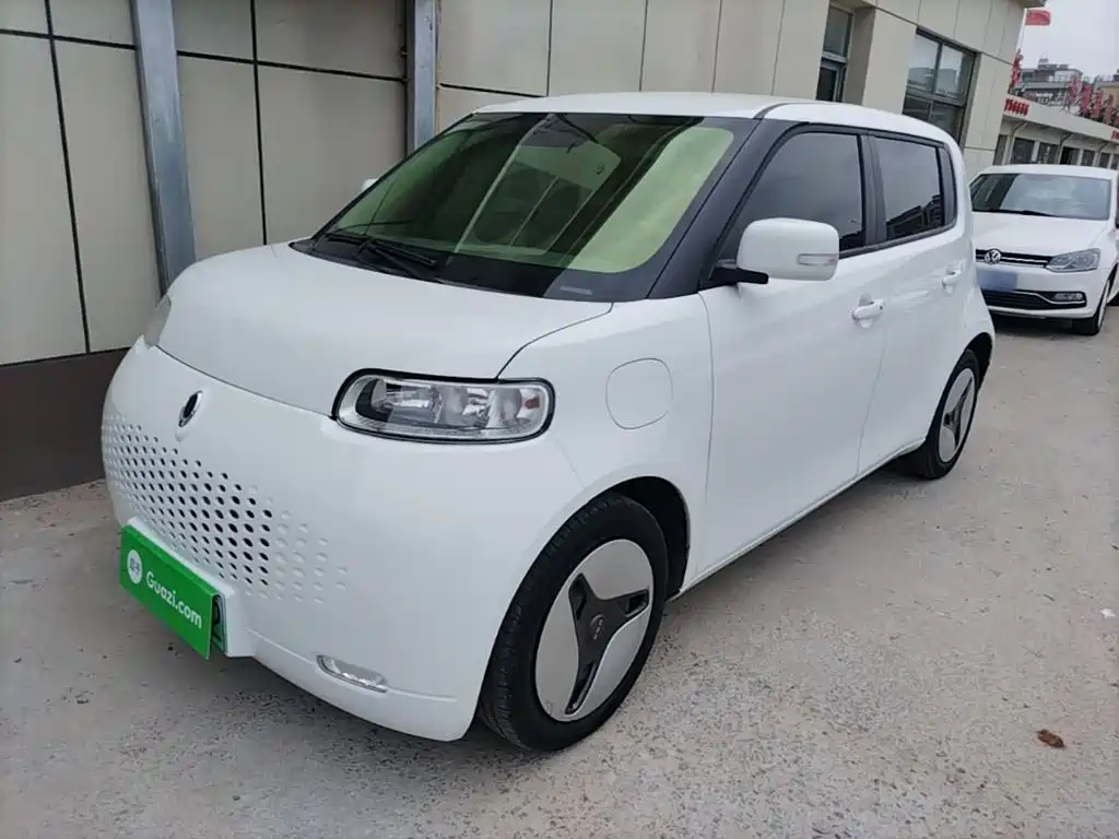 Ora White Cat 2020 2020 360km Luxury Model